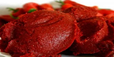 تصویر 2 از رب گوجه فرنگی همدان غلیظ سنتی بسته شیشه ای